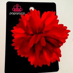 Paparazzi hair clip